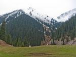 Some of the lush scenery at Altyn Arashan