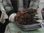Waiter bringing Chuanrs of lamb to our table